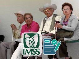 Solo a falta de la o el cónyuge, tendrá derecho a recibir la pensión, la persona con quien la persona asegurada o pensionada vivió como si fuera su matrimonio durante los 5 años que precedieron inmediatamente a su muerte. SUN / ARCHIVO