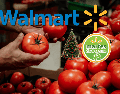 Las ofertas por el Martes de Frescura este 16 de diciembre son válidas en las más de 2 mil sucursales físicas de Walmart y en su tienda en línea. EL INFORMADOR / ARCHIVO