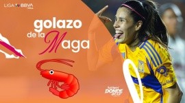 Gol - Jacqueline Ovalle