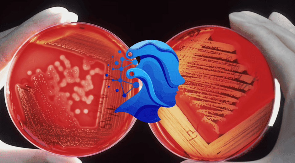 Esta herramienta reduce el sesgo en análisis patológicos de cáncer. UNSPLASH / NCI