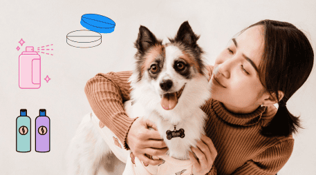 Antes de administrarle algún tipo de medicamento, primero consúltalo con un veterinario. CANVA