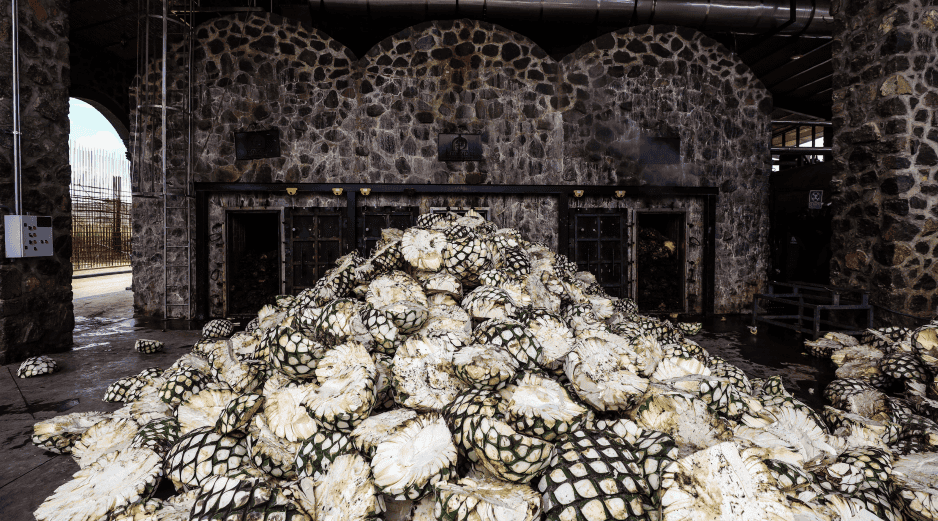 Lemus indicó que la FGR investiga todas las denuncias en torno a Diego Rivera Navarro, alcalde de Tequila. EL INFORMADOR / ARCHIVO