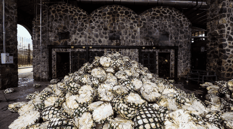 Lemus indicó que la FGR investiga todas las denuncias en torno a Diego Rivera Navarro, alcalde de Tequila. EL INFORMADOR / ARCHIVO