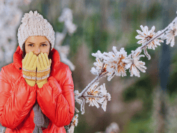 Durante la tarde, un nuevo frente frío se aproximará a la frontera noreste del territorio nacional. ESPECIAL / CANVA