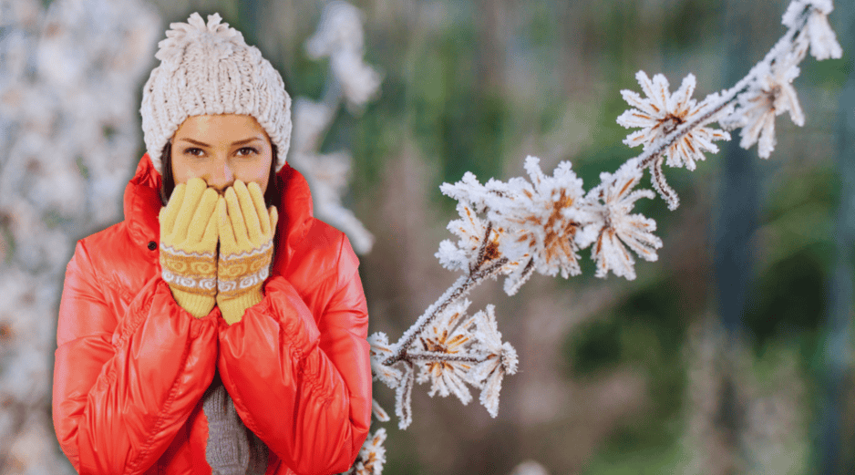 Durante la tarde, un nuevo frente frío se aproximará a la frontera noreste del territorio nacional. ESPECIAL / CANVA