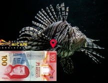 Aprovecha la temporada de diversión en el Acuario Michin; comienza esta semana. EL INFORMADOR / ARCHIVO