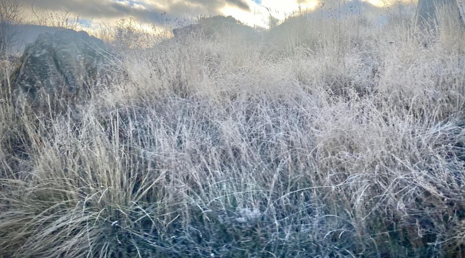 Hoy jueves se registraron heladas en la comunidad de La Yerbabuena y otras zonas aledañas del municipio de Tapalpa, en Jalisco. NTX / ARCHIVO