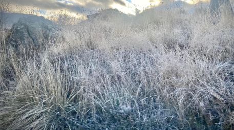 Hoy jueves se registraron heladas en la comunidad de La Yerbabuena y otras zonas aledañas del municipio de Tapalpa, en Jalisco. NTX / ARCHIVO