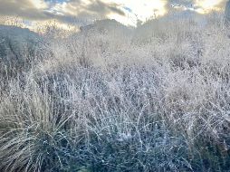 Hoy jueves se registraron heladas en la comunidad de La Yerbabuena y otras zonas aledañas del municipio de Tapalpa, en Jalisco. NTX / ARCHIVO