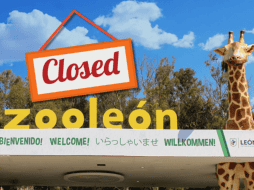 El Zooleón fue fundado el 19 de septiembre de 1979. Zooleon.org / CANVA / ESPECIAL