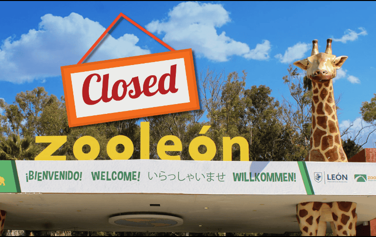 El Zooleón fue fundado el 19 de septiembre de 1979. Zooleon.org / CANVA / ESPECIAL