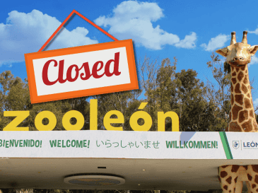 El Zooleón fue fundado el 19 de septiembre de 1979. Zooleon.org / CANVA / ESPECIAL