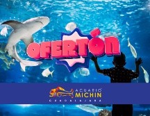 La entrada también incluye recorrido guiado por los pabellones, guía del explorador, acceso a camas elásticas y laser tag.  ESPECIAL/ACUARIOMICHIN