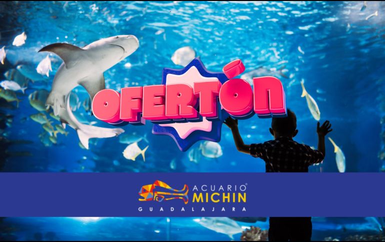 La entrada también incluye recorrido guiado por los pabellones, guía del explorador, acceso a camas elásticas y laser tag.  ESPECIAL/ACUARIOMICHIN