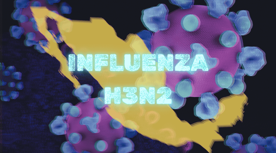 El H3N2 es una variante del virus de la influenza A, que provoca una infección respiratoria aguda y responsable de la gripe estacional a nivel global. UNSPLASH/National Institute of Allergy and Infectious Diseases