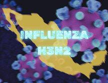 El H3N2 es una variante del virus de la influenza A, que provoca una infección respiratoria aguda y responsable de la gripe estacional a nivel global. UNSPLASH/National Institute of Allergy and Infectious Diseases