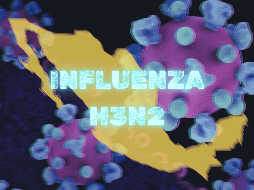 El H3N2 es una variante del virus de la influenza A, que provoca una infección respiratoria aguda y responsable de la gripe estacional a nivel global. UNSPLASH/National Institute of Allergy and Infectious Diseases
