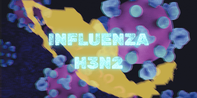 Influenza H3N2: estos son los estados que registran m&aacute;s casos en M&eacute;xico