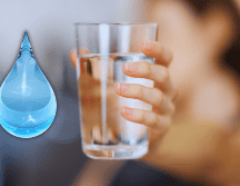 El agua constituye cerca de las dos terceras partes del peso del cuerpo humano, 65% dentro de las células y 35% en espacios extracelulares. ESPECIAL / CANVA