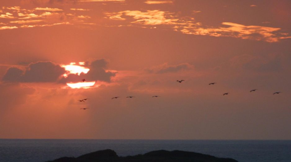 Según la OMM,  aunque 