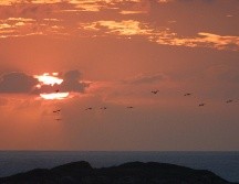 Según la OMM,  aunque 