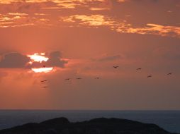 Según la OMM,  aunque 