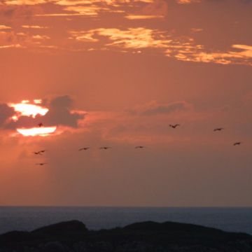 Según la OMM,  aunque 