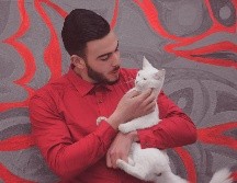 La investigación confirma que los gatos no solo observan a sus cuidadores, sino que aprenden a comunicarse de manera diferenciada. UNSPLASH / A. ACHARKI