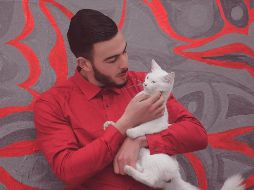 La investigación confirma que los gatos no solo observan a sus cuidadores, sino que aprenden a comunicarse de manera diferenciada. UNSPLASH / A. ACHARKI