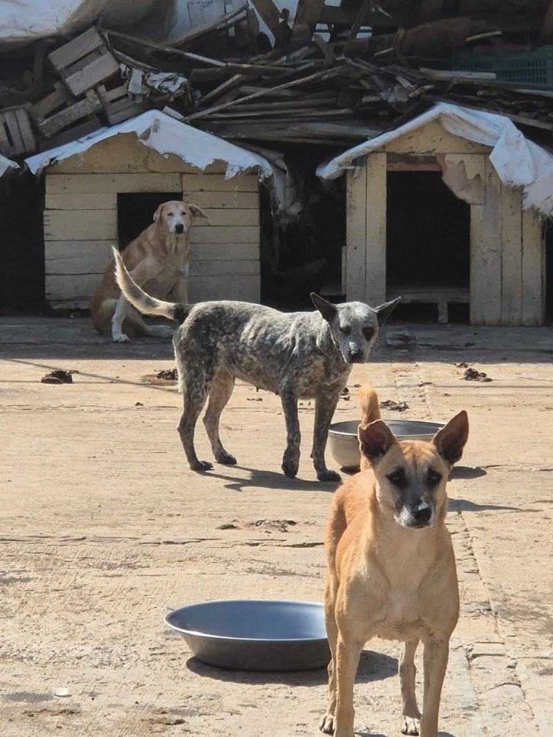 EL INFORMADOR/ R. Bobadilla&nbsp;