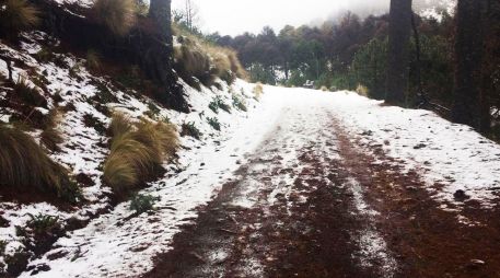 Este destino es un lugar ideal para quienes desean ver nieve en Jalisco y disfrutar de uno de los paisajes más impresionantes del occidente del país antes de 2026. NOTIMEX/ ARCHIVO