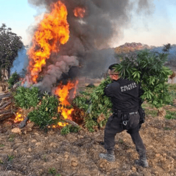 El aseguramiento se realizó durante el despliegue de la columna de vigilancia especial “Operativo Invernal 2025