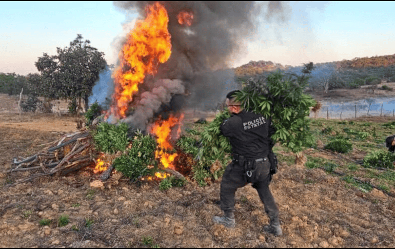 El aseguramiento se realizó durante el despliegue de la columna de vigilancia especial “Operativo Invernal 2025