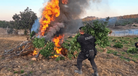 El aseguramiento se realizó durante el despliegue de la columna de vigilancia especial “Operativo Invernal 2025