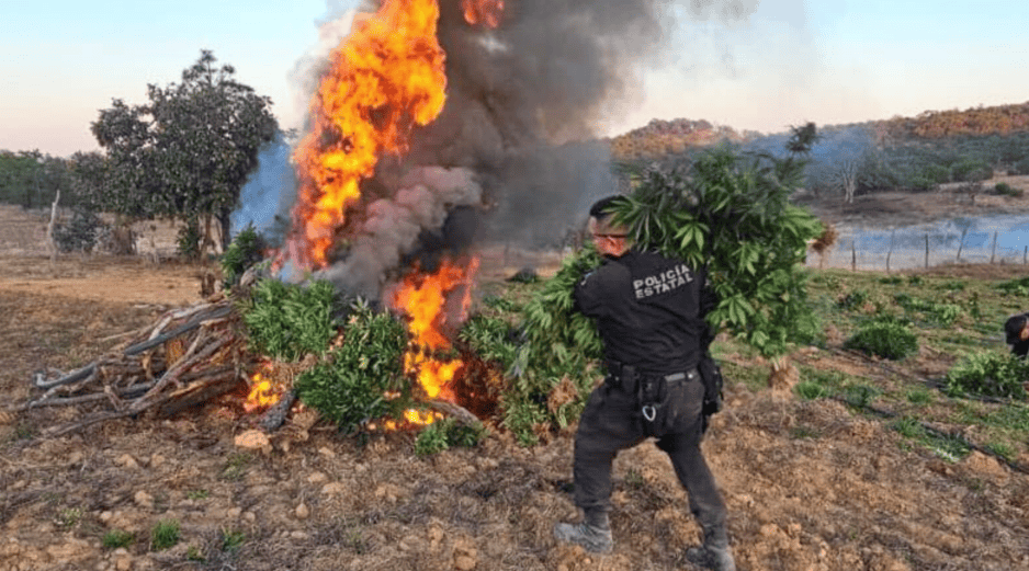 El aseguramiento se realizó durante el despliegue de la columna de vigilancia especial “Operativo Invernal 2025