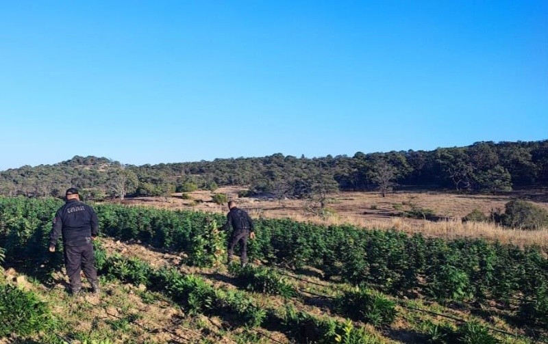 &nbsp;ESPECIAL / SSE