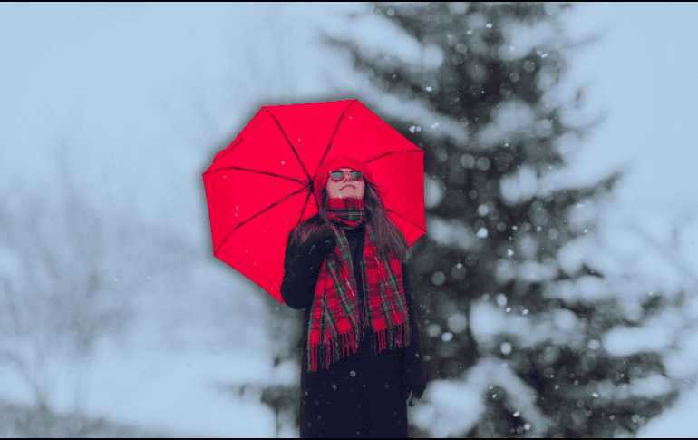 El Chihuahua, México, es posible que la nieve se haga presente durante el invierno, es decir, cerca de Navidad. ESPECIAL / CANVA