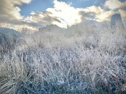 Zonas serranas de Chihuahua y Durango podrían tener temperaturas mínimas de hasta 10°C. SUN/Archivo