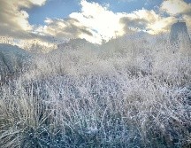 Zonas serranas de Chihuahua y Durango podrían tener temperaturas mínimas de hasta 10°C. SUN/Archivo