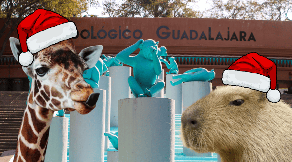 El Zoológico Guadalajara decidió llevar la Navidad a cada uno de los animalitos del recinto. ESPECIAL/ EL INFORMADOR/ ARCHIVO/ Unsplash