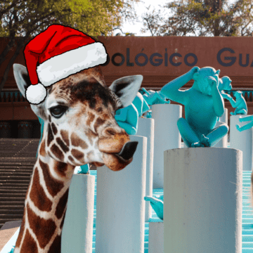 El Zoológico Guadalajara decidió llevar la Navidad a cada uno de los animalitos del recinto. ESPECIAL/ EL INFORMADOR/ ARCHIVO/ Unsplash