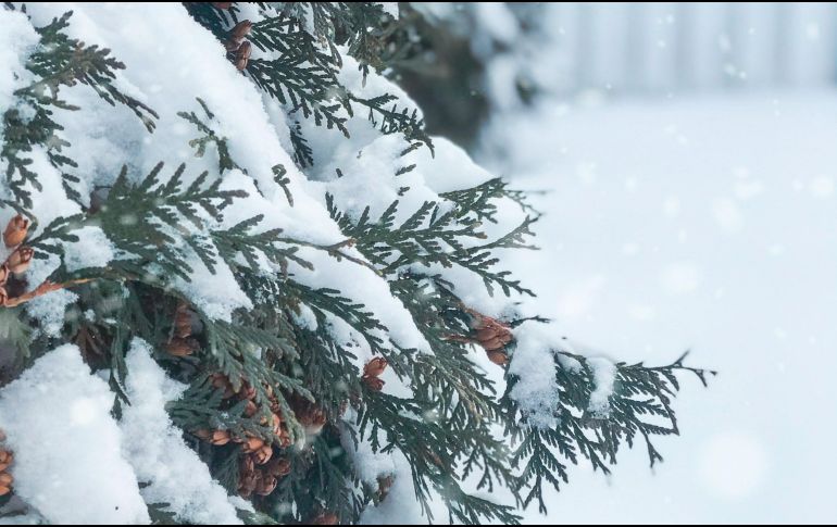 Estas regiones registran nevadas que atraen a viajeros interesados. UNSPLASH.