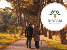 A partir del próximo año, podrán solicitar la credencial todas las personas que hayan cumplido o cumplan 60 años en 2026. ESPECIAL/ CANVA