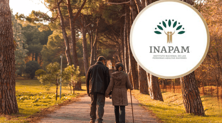 A partir del próximo año, podrán solicitar la credencial todas las personas que hayan cumplido o cumplan 60 años en 2026. ESPECIAL/ CANVA