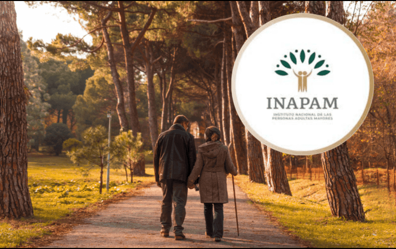 A partir del próximo año, podrán solicitar la credencial todas las personas que hayan cumplido o cumplan 60 años en 2026. ESPECIAL/ CANVA