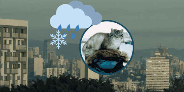 Clima HOY: Llega el frente fr&iacute;o 24 a M&eacute;xico este 26 de diciembre de 2025, &iquest;qu&eacute; condiciones esperan algunos estados del pa&iacute;s?