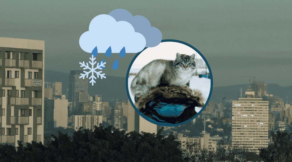 Cuatro estados del país se verán directamente afectados por el frente frío 24; conoce más detalles del clima en el país. ESPECIAL / UNSPLASH / S. Beschastnykh