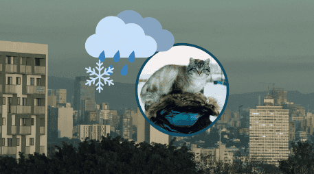 Cuatro estados del país se verán directamente afectados por el frente frío 24; conoce más detalles del clima en el país. ESPECIAL / UNSPLASH / S. Beschastnykh