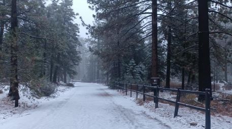 Imagen de archivo del Parque Nacional Sierra de San Pedro Mártir, Baja California. FACEBOOK / Protección Civil Baja California