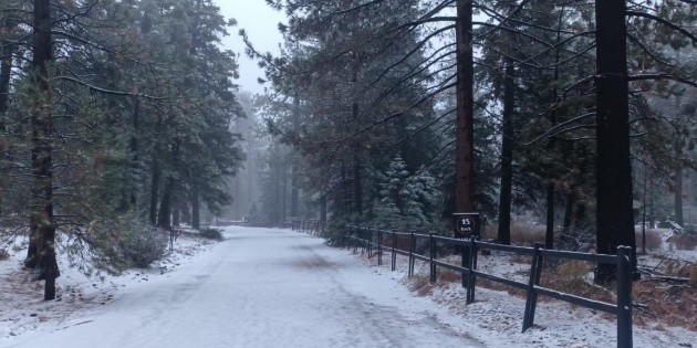 Prev&eacute;n heladas y ca&iacute;da de nieve en ESTAS zonas del pa&iacute;s por el frente fr&iacute;o 24